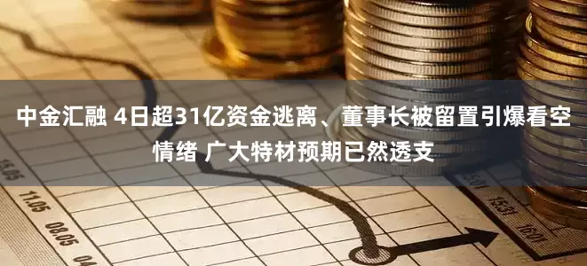 中金汇融 4日超31亿资金逃离、董事长被留置引爆看空情绪 广大特材预期已然透支