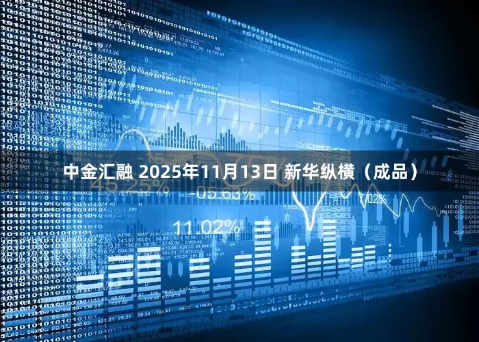 中金汇融 2025年11月13日 新华纵横（成品）